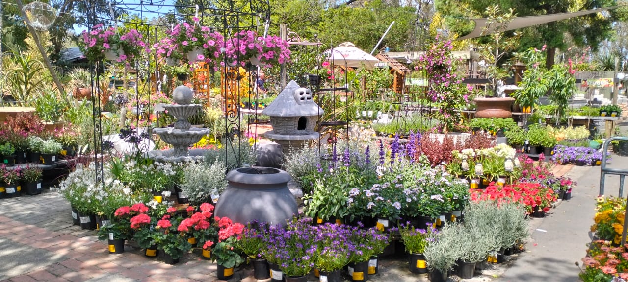 WhatsApp Image 2025-11-17 at 2.45.24 PM (1)