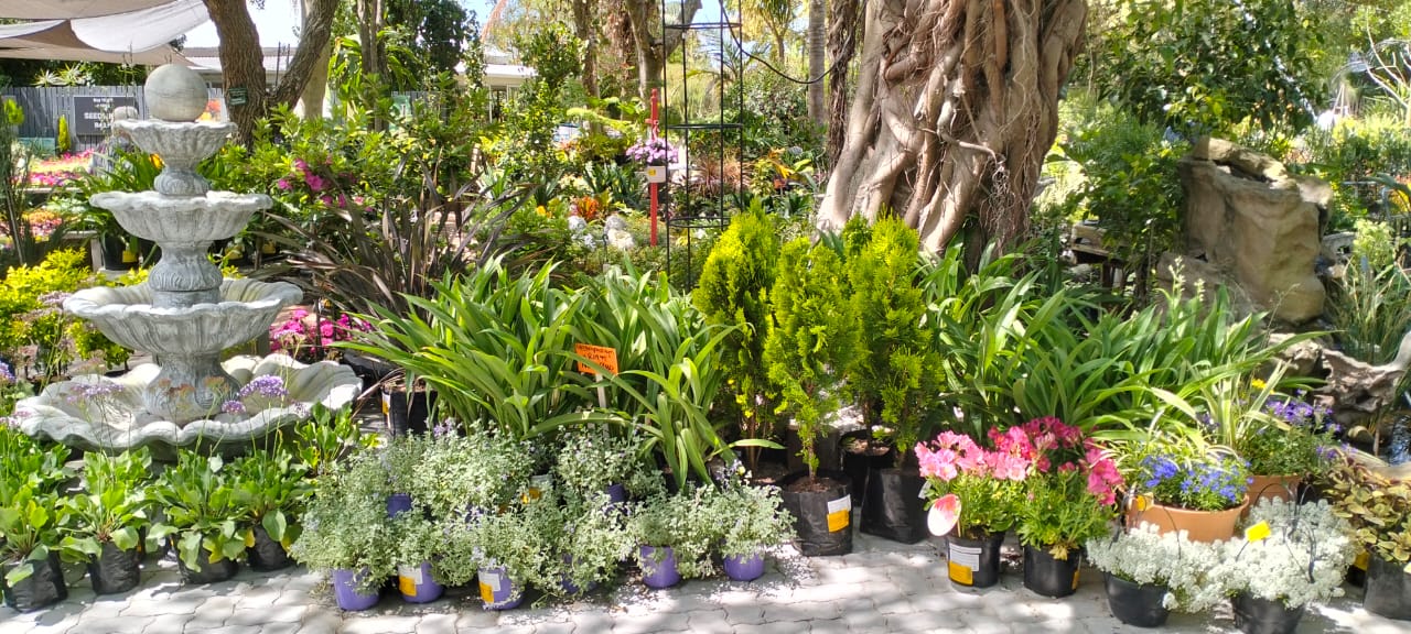 WhatsApp Image 2025-11-17 at 2.45.25 PM (1)